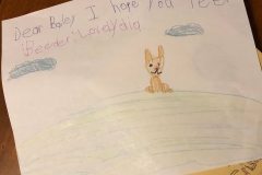 These melt my heart!! Our welcome notes from Lydia Grace when we arrived for Christmas, including a special one for Bailey. And her waiting on us as we pulled in the driveway.