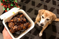 Bailey wants Bread Pudding
